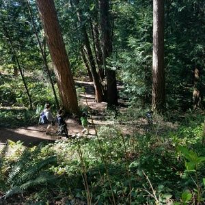 Meet your Posher, Cynthia